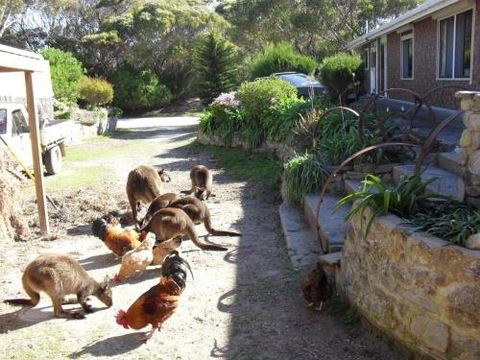 Anchorage Apartments - Australian Destinations 4