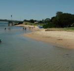 Black Dolphin Waterfront Apartment - Australian Destinations