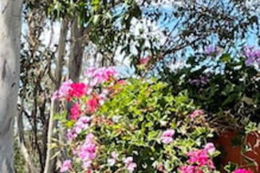 Book Crows Nest Accommodation Vacations Australian Destinations Australian Destinations