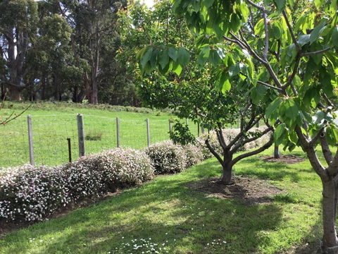 Nextdooratportarthur - Australian Destinations 1