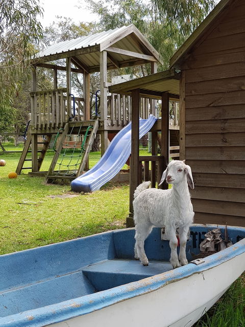 Ripples N Tonic - Australian Destinations 2