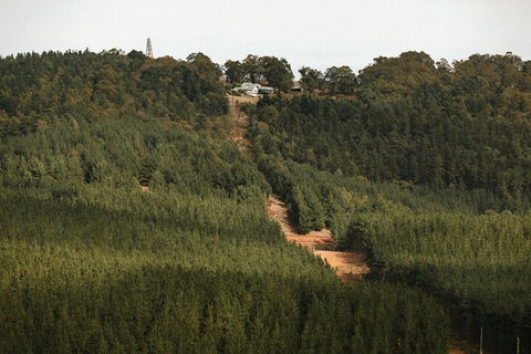 Nannup Hideaway - Australian Destinations 4