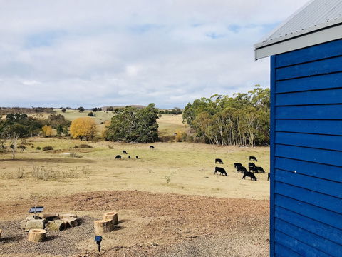 In2thewild - Walden - Australian Destinations 7