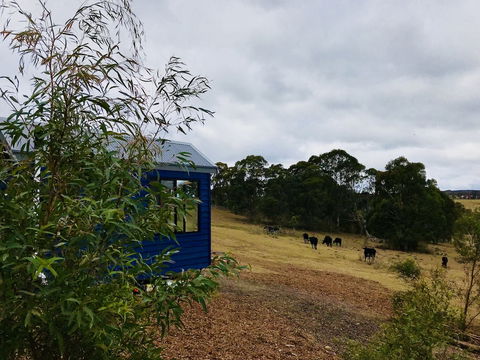 In2thewild - Walden - Australian Destinations 1
