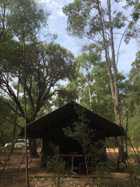 RAC Margaret River Nature Park - Australian Destinations 2