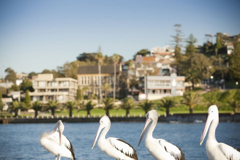 The Sebel Harbourside Kiama - Australian Destinations 1