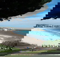 Bondi 38 Serviced Apartments - Australian Destinations