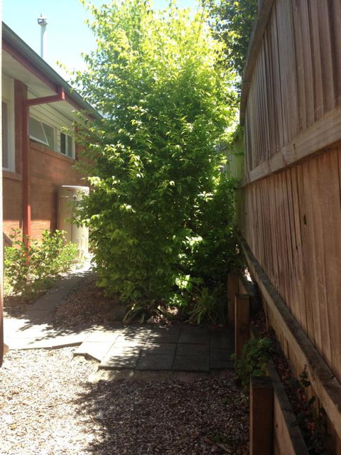 Thornleigh Garden View Comfortable & Tranquil - Australian Destinations 7