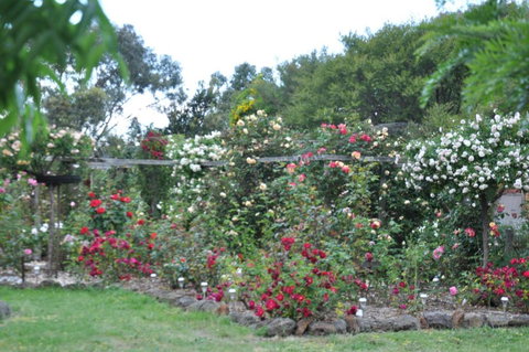 Fairy Wren Cottage Country To Coast Retreat - Australian Destinations 6