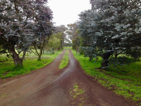 Fairy Wren Cottage Country To Coast Retreat - Australian Destinations 4