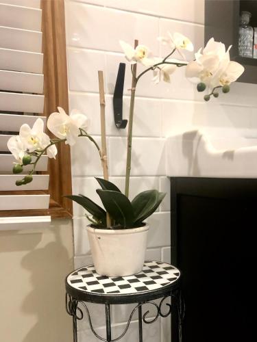 SEAeSCAPE Apollo Bay - Australian Destinations 4