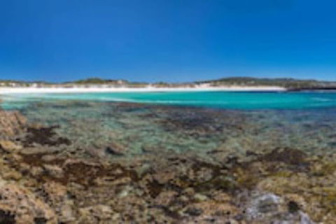 Hanson Bay Wildlife Sanctuary And Cabins - Australian Destinations 0