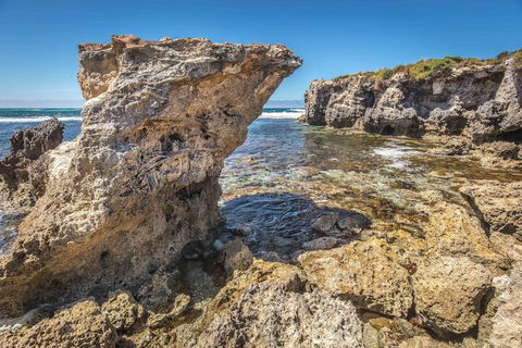 Hanson Bay Wildlife Sanctuary And Cabins - Australian Destinations 2