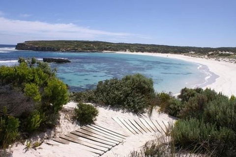 Hanson Bay Wildlife Sanctuary And Cabins - Australian Destinations 1