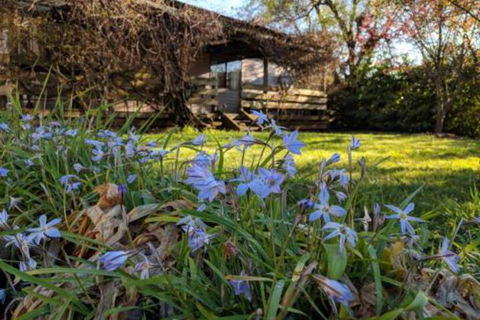 Alexander Cottage - Australian Destinations 3