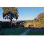 Ripplebrook Cottage - Australian Destinations