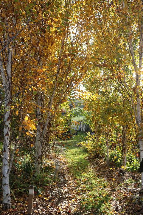 Magenta Cottage - Australian Destinations 1