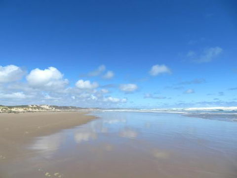 Arthur Riverfront & Sea Lodge Downstream - Australian Destinations 0