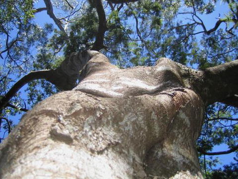 Arthur Riverfront & Sea Lodge Downstream - Australian Destinations 4