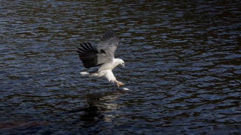 Arthur Riverfront & Sea Lodge Downstream - Australian Destinations 3