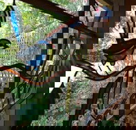 Bright Highland Valley Cottages