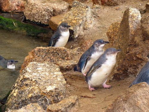 Close Encounters Bed & Breakfast - Australian Destinations 5