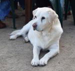 Nazaaray Beach House - Australian Destinations