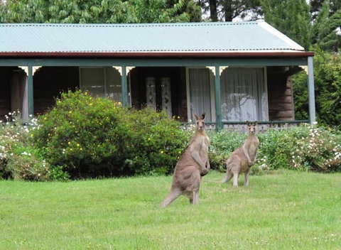Cedar Lodge Cabins - Australian Destinations 1