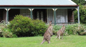 Cedar Lodge Cabins - Australian Destinations 0