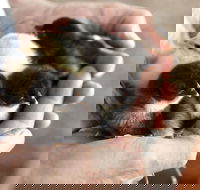 Margaret River Hideaway - Australian Destinations