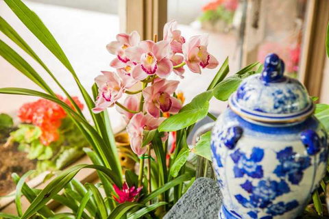 Kempsey Rose Motor Inn - Australian Destinations 7