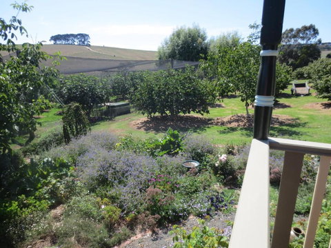 Walnut Cottage Via Leongatha - Australian Destinations 4