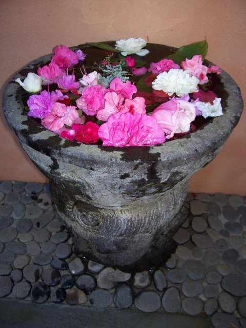 Riveresque - Australian Destinations 2