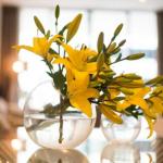 KUI Manhattan Apartments - Australian Destinations 0