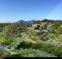 The Bryn At Tilba Family Cottage