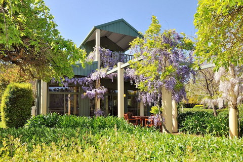 Tree Elle - Australian Destinations 1