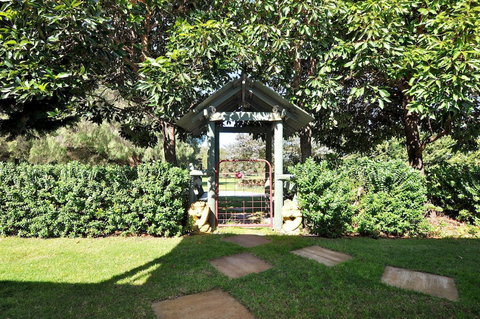 Tree Elle - Australian Destinations 2