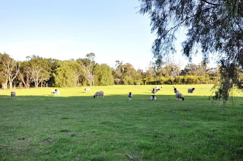 Tree Elle - Australian Destinations 6