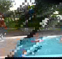 Corlette Palms Motor Inn - Australian Destinations