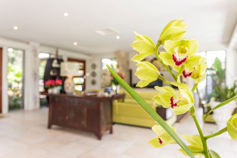 Alaya Verde - Australian Destinations 1