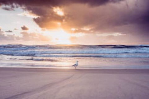 Blue Waters Motel - Australian Destinations 0