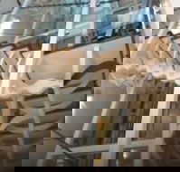 Platinum Suites Fremantle - Australian Destinations