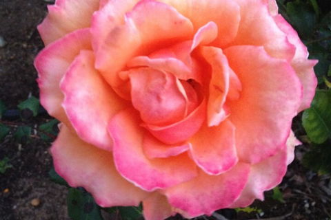 Augusta Escape Holiday Units - Australian Destinations 1