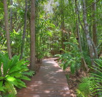 Montville Grove - Australian Destinations