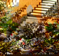 Pialba Motor Inn - Australian Destinations