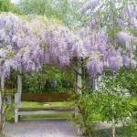 Amelina Cottages - Australian Destinations 0