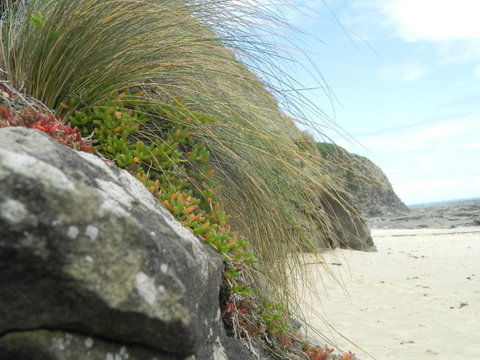 Cape 28 - Australian Destinations 5