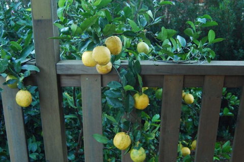 Highclaire House Bed & Breakfast - Australian Destinations 4