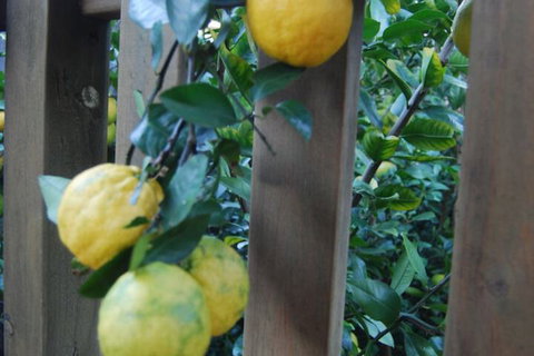 Highclaire House Bed & Breakfast - Australian Destinations 1