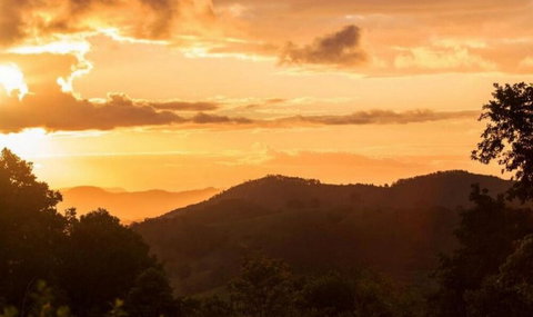 Cooroy Country Cottages - Australian Destinations 0